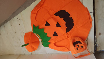 Halloween Pumpkin Costume