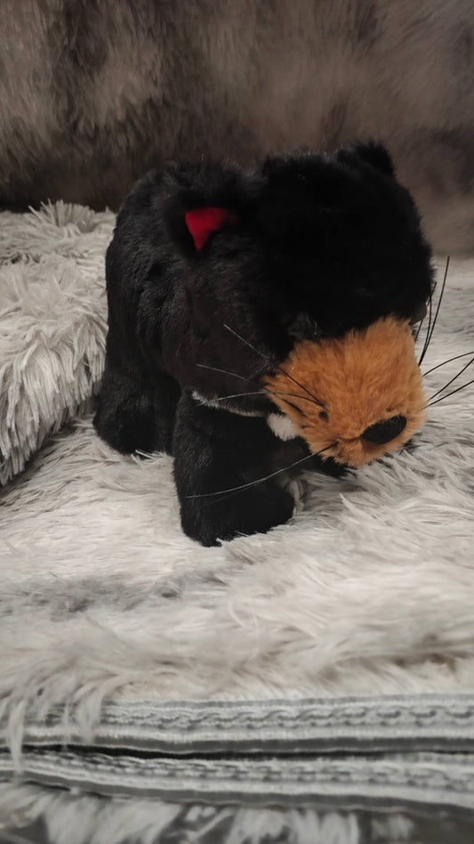Tasmania DevilTasmanian Devil 20cm soft plush toy stuffed animal by Elka