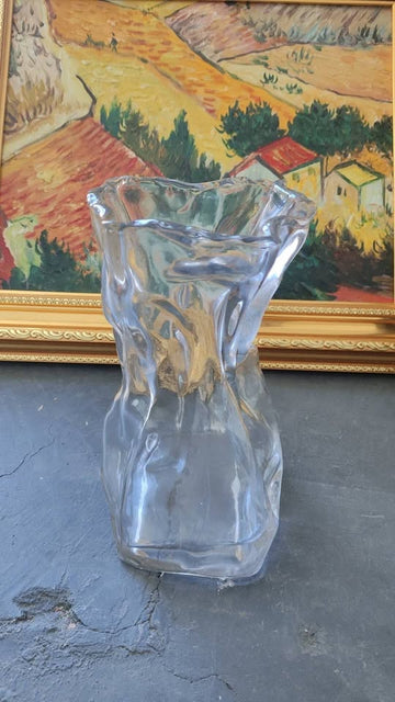 Irregular Glass Vase for Fresh/Silk/Dried Flowers Modern Decorative Holder